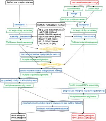 Global phylogenetic analysis of the RNA-dependent RNA polymerase with OrViT (OrthornaVirae Tree)